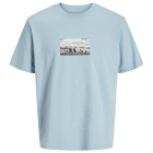 Subdued Blue